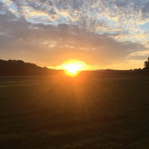 Meet your Posher, Ron